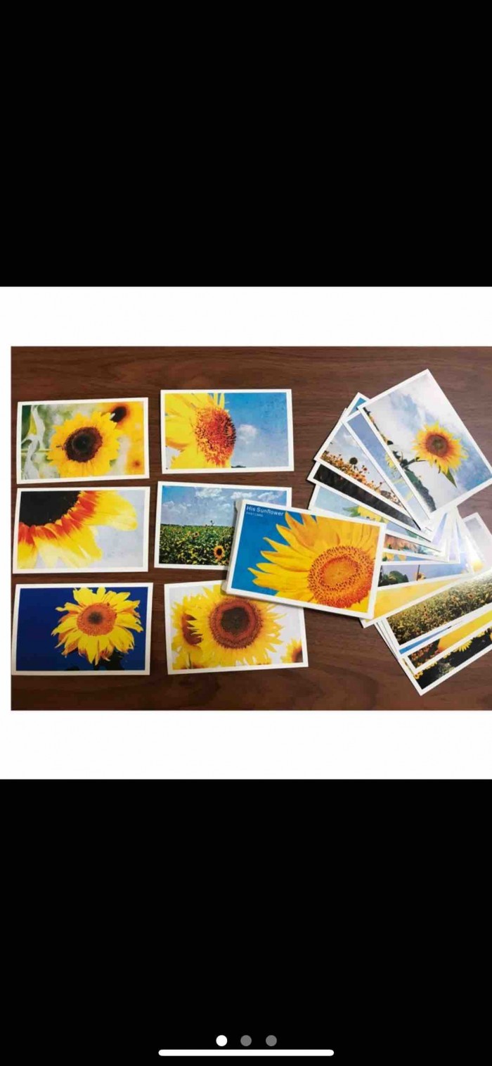 向日葵 明信片賀卡向日葵太陽花 Gc贈物網